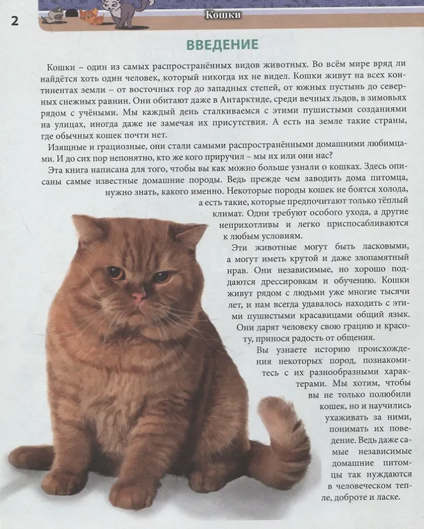 Книга Кошки. Энциклопедия (Леся Калугина) — 3