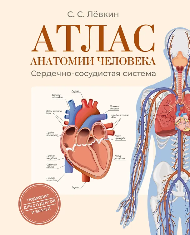 Книга Атлас анатомии человека. Сердечно-сосудистая система (Сергей Лёвкин) — 1