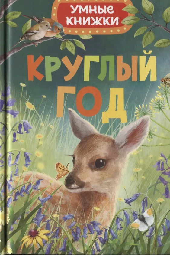 Книга Круглый год (Эмили Боун) — 1