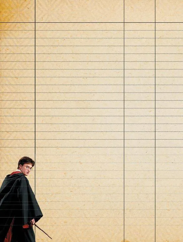 Книга Гарри Поттер. Читательский дневник () — 12