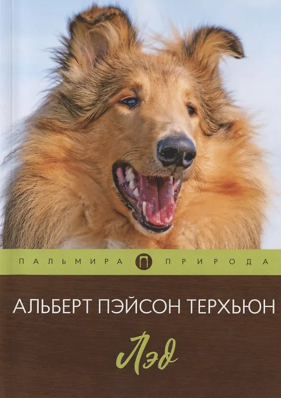 Книга Лэд () — 1