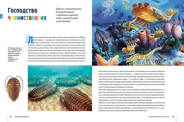 Книга Тайны морей и океанов. Большая иллюстрированная энциклопедия (Франческо Мило) — 18