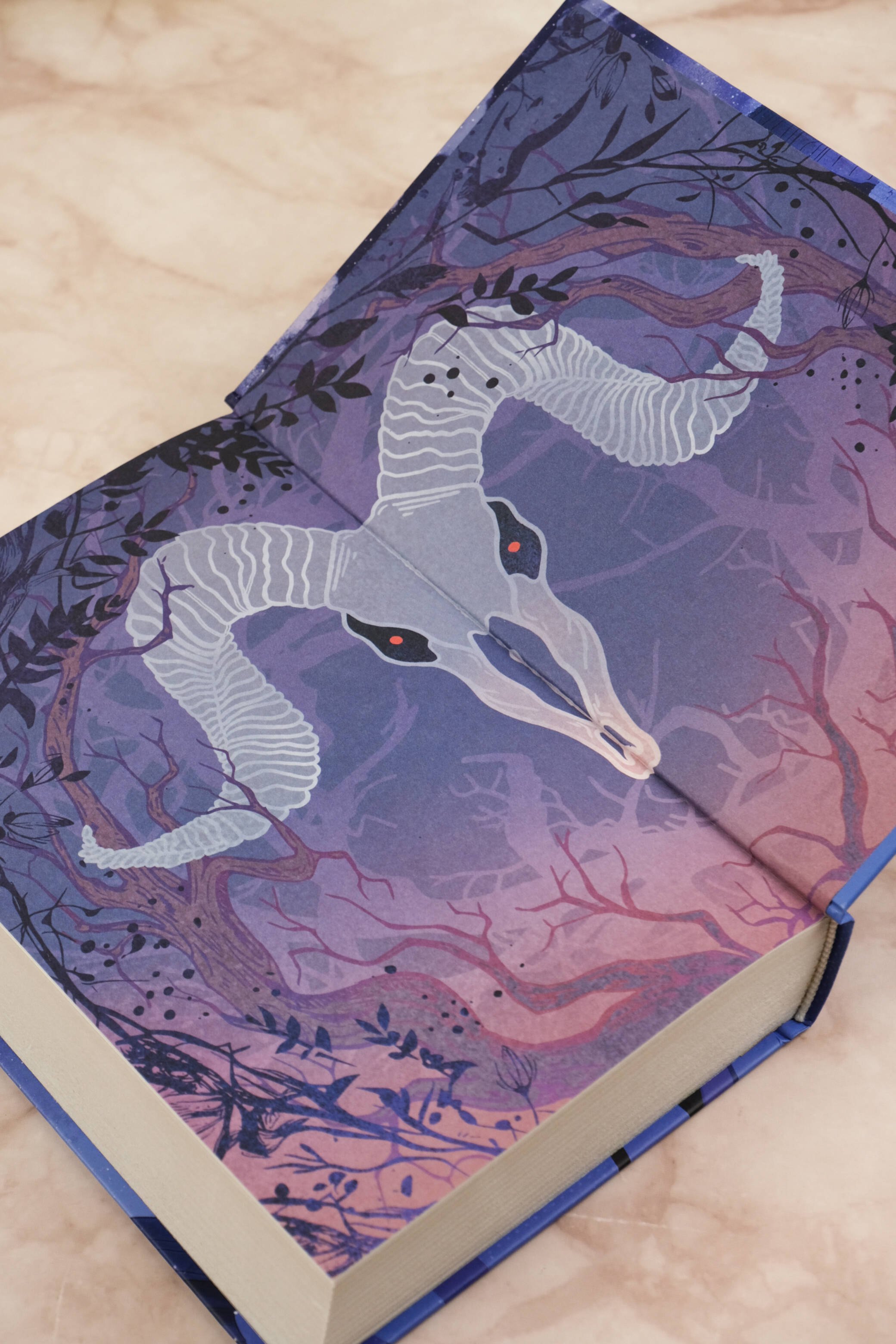 Изображение бумажной книги