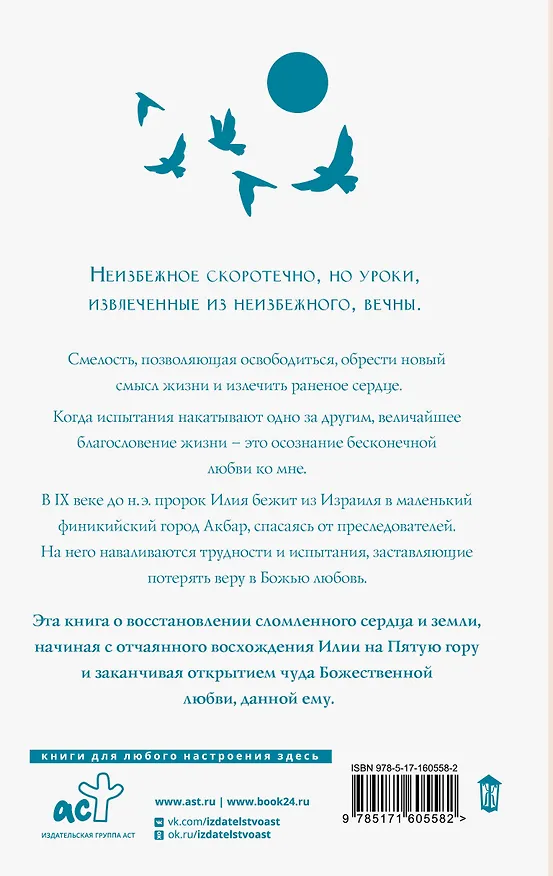 Книга Пятая гора (Пауло Коэльо) — 2