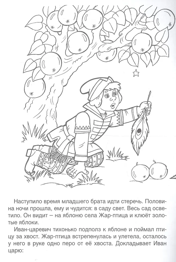 Книга Иван-царевич и Серый волк () — 4
