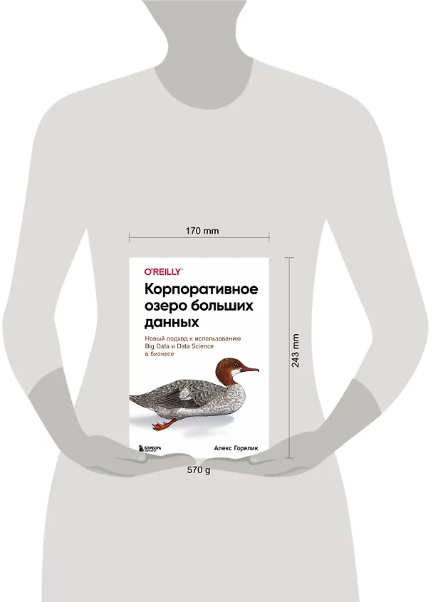 Книга Корпоративное озеро больших данных. Новый подход к использованию Big Data и Data Science в бизнесе (Алекс Горелик) — 8