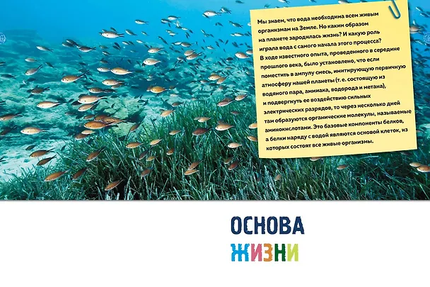 Книга Тайны морей и океанов. Большая иллюстрированная энциклопедия (Франческо Мило) — 16