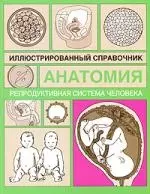 Анатомия.Репродуктивная система человека: Иллюстрированный справочник — 2194387 — 1