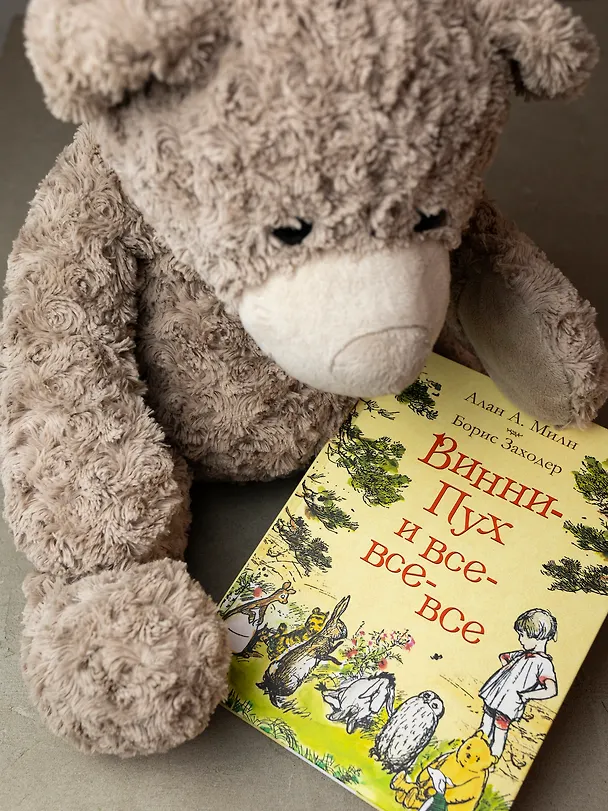 Книга Винни-Пух и все-все-все (Алан Милн) — 5