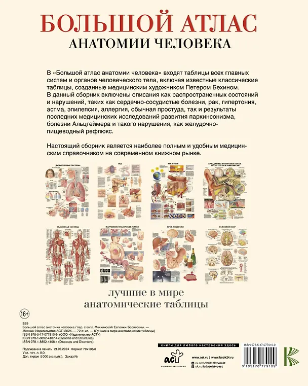 Книга Большой атлас анатомии человека(в табл) () — 2