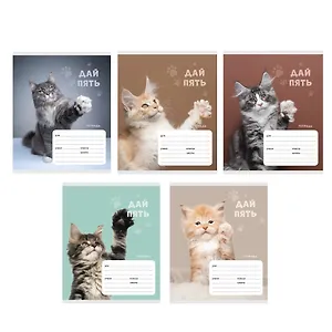 Тетрадь в клетку Listoff, "Дай пять!", 24 листа, в ассортименте