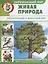 Окружающий мир: Живая природа. Растительный и животный мир — 2720505 — 1