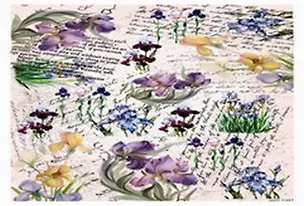 Пленка (1347/00000001932) Freedecor с изображен. для светлых поверхностей 2300579