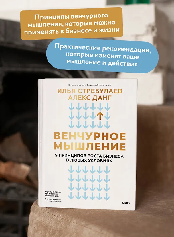Книга Венчурное мышление. 9 принципов роста бизнеса в любых условиях (Илья Стребулаев, Алекс Данг) — 6