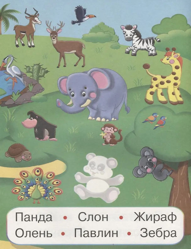 Книга Зоопарк (мУмнНаклЧитСл) (накл) () — 2