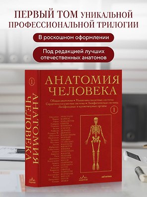 Анатомия человека. Эксклюзивное издание с 50-летней историей. Костно-мышечная и сердечно-сосудистая системы (Том 1)