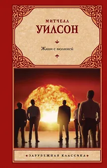 Живи с молнией: роман