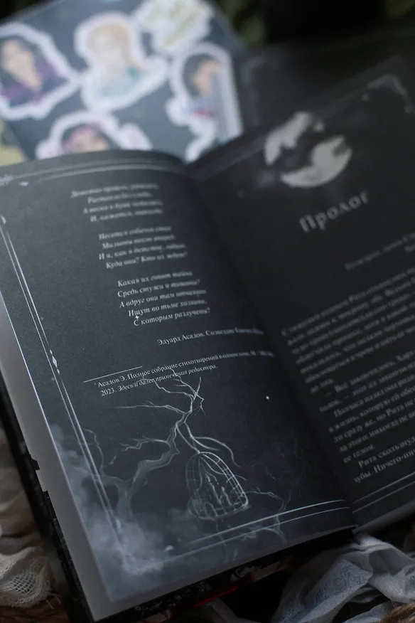 Книга Преданные. Белое с кровью (Кристина Робер) — 12