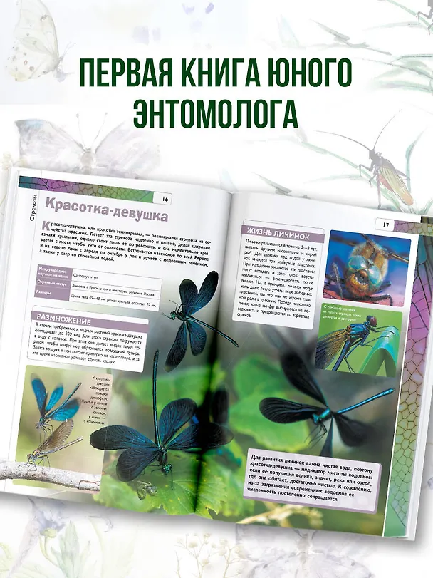 Книга Насекомые (Игорь Резько, Анна Спектор) — 6