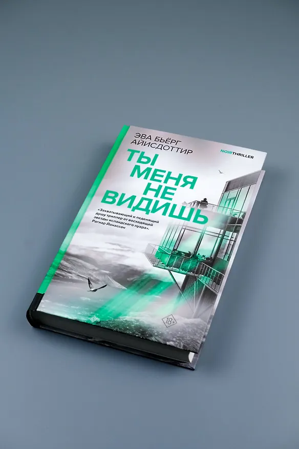 Книга Ты меня не видишь (Эва Бьёрг Айисдоттир) — 9