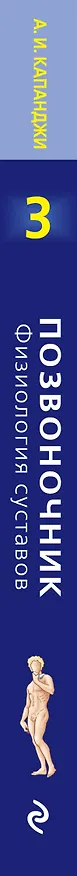 Книга Позвоночник: Физиология суставов (обновленное издание) (Адальберт Капанджи) — 3
