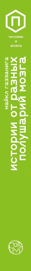 Книга Истории от разных полушарий мозга (Майкл Газзанига) — 3