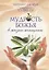 Мудрость Божья в жизни женщины. Вечные принципы на всякий день и час — 2797956 — 1