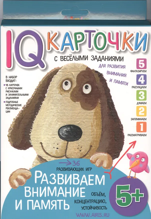 Книга Карточки с  веселыми заданиями. Развиваем внимание и память 5+ (Елена Куликова) — 1