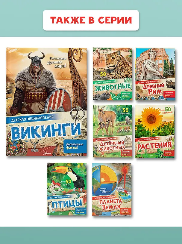 Книга Викинги (Энн МакРей, Лоредана Агоста) — 9