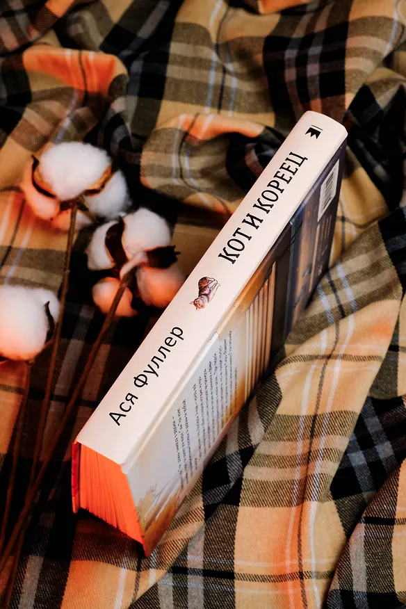 Книга Кот и кореец (Ася Фуллер) — 9