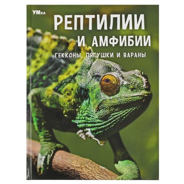Рептилии и амфибии. Гекконы, лягушки и вараны. Энциклопедия