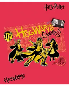 Тетрадь в клетку "Гарри Поттер", 48 листов, в ассортименте