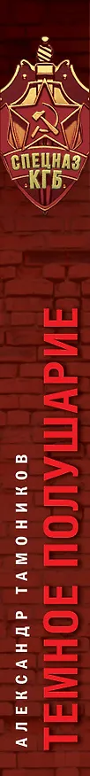 Книга Темное полушарие (Александр Тамоников) — 3