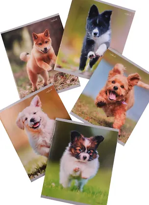 Тетрадь в клетку Unnika, "Радостные щенки", 48 листов, в ассортименте 243764