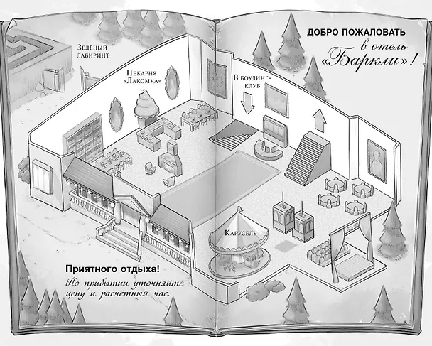 Книга Полночь в отеле «Баркли» (Флёр Брэдли) — 6