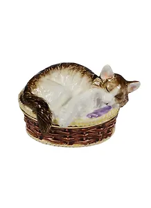 Шкатулка Кот в корзине (BP2525K1)