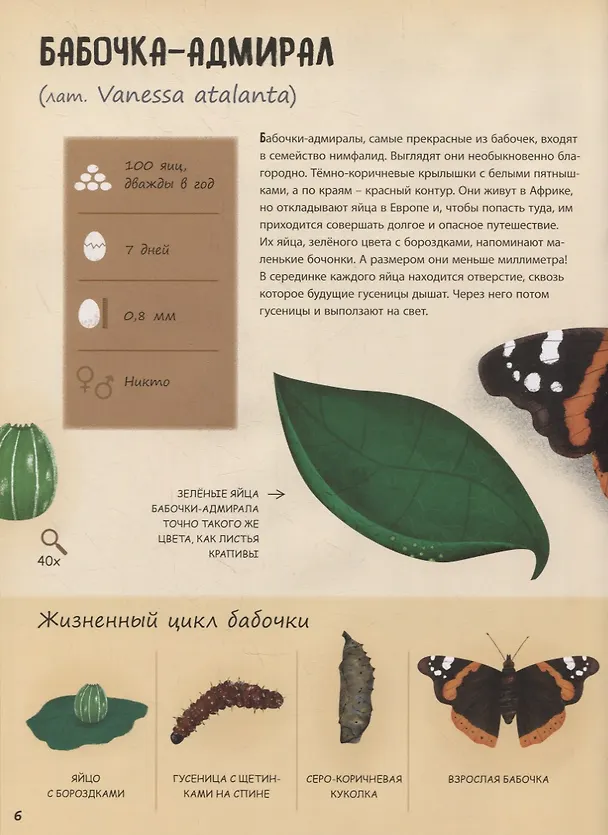 Книга Кто появляется на свет из яйца? (Маркета Новакова) — 6