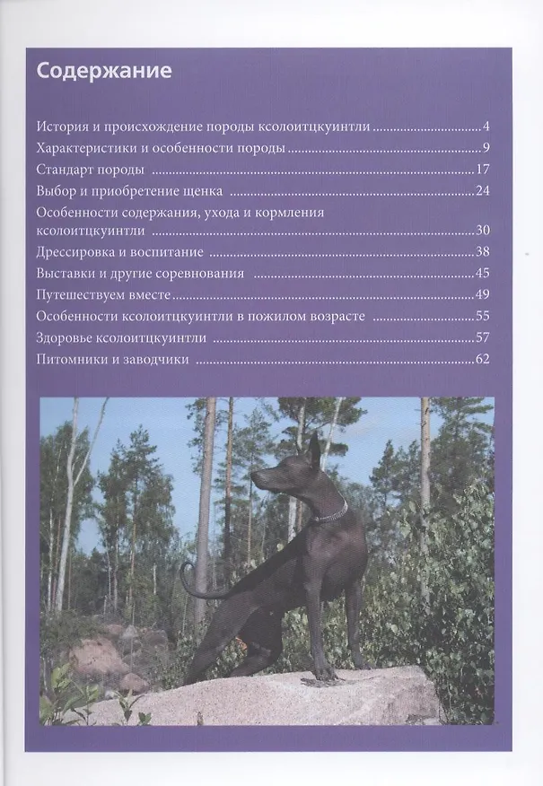 Книга Ксолоитцкуинтли. (мексиканская голая собака) Содержание и уход (цвет.) () — 3