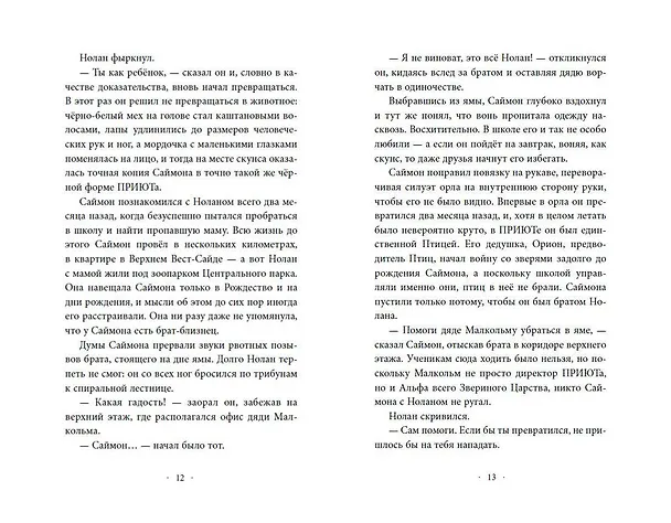 Книга Пять Осколков (#2) (Эйми Картер) — 12