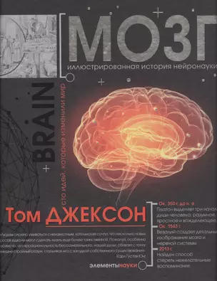 Мозг — 2585742 — 1