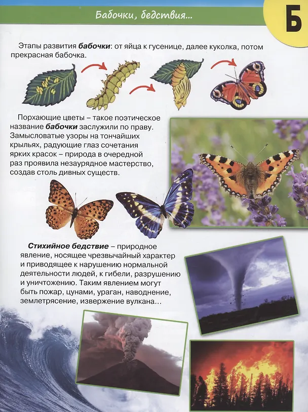 Книга Планета Земля от А до Я (Василий Климов) — 2