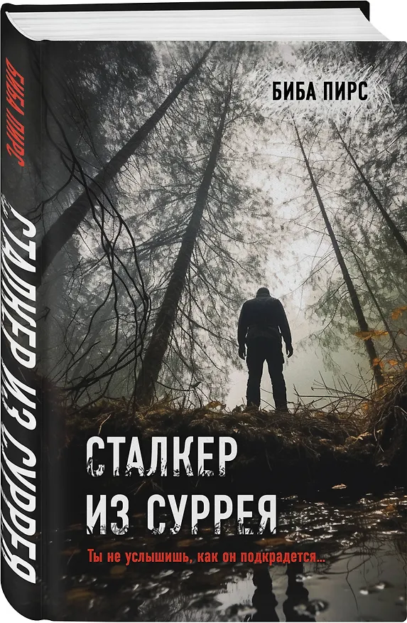 Книга Сталкер из Суррея (Биба Пирс) — 4