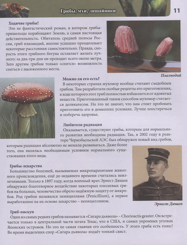 Книга Живая природа. Энциклопедия (Михаил Савостин) — 4