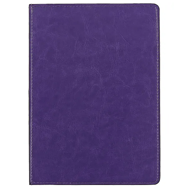 Ежедневник InFolio Barcelona фиолетовый, недатированный, А5 248587 — 1
