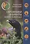 Скромники и франты в мире животных. Рыбы, птицы, звери — 2711073 — 1