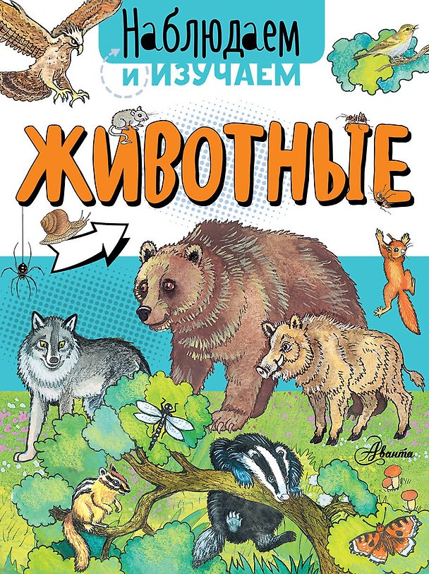 Книга Животные (Алиса Ткачёва, Алиса Ткачева) — 1