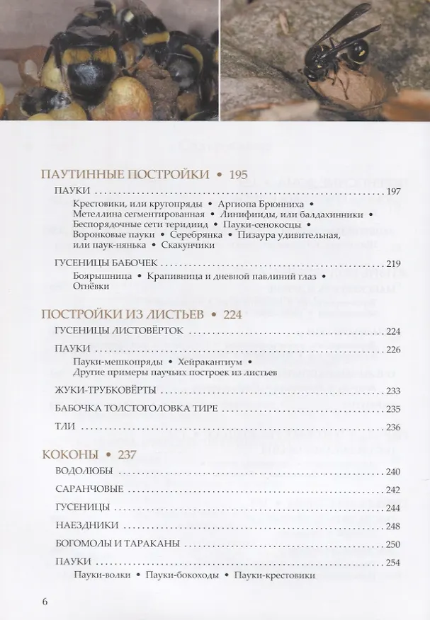 Книга Пчелы, осы, пауки и другие строители () — 4
