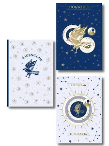 Блокнот А5 3шт "Когтевран. Для мудрых и независимых"