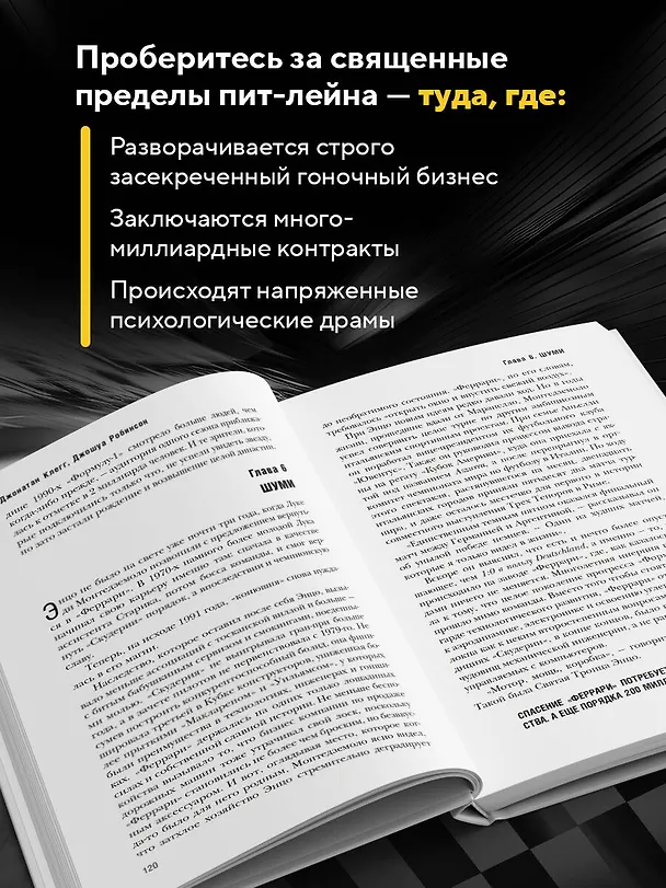 Книга The Formula. Как проходимцы, гении и фанаты скорости превратили Формулу-1 в самый быстрорастущий вид спорта в мире (Джонатан Клегг, Джошуа Робинсон) — 8