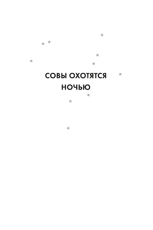 Книга Совы охотятся ночью (Энтони Горовиц) — 11